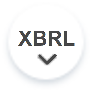 Open as xbrl